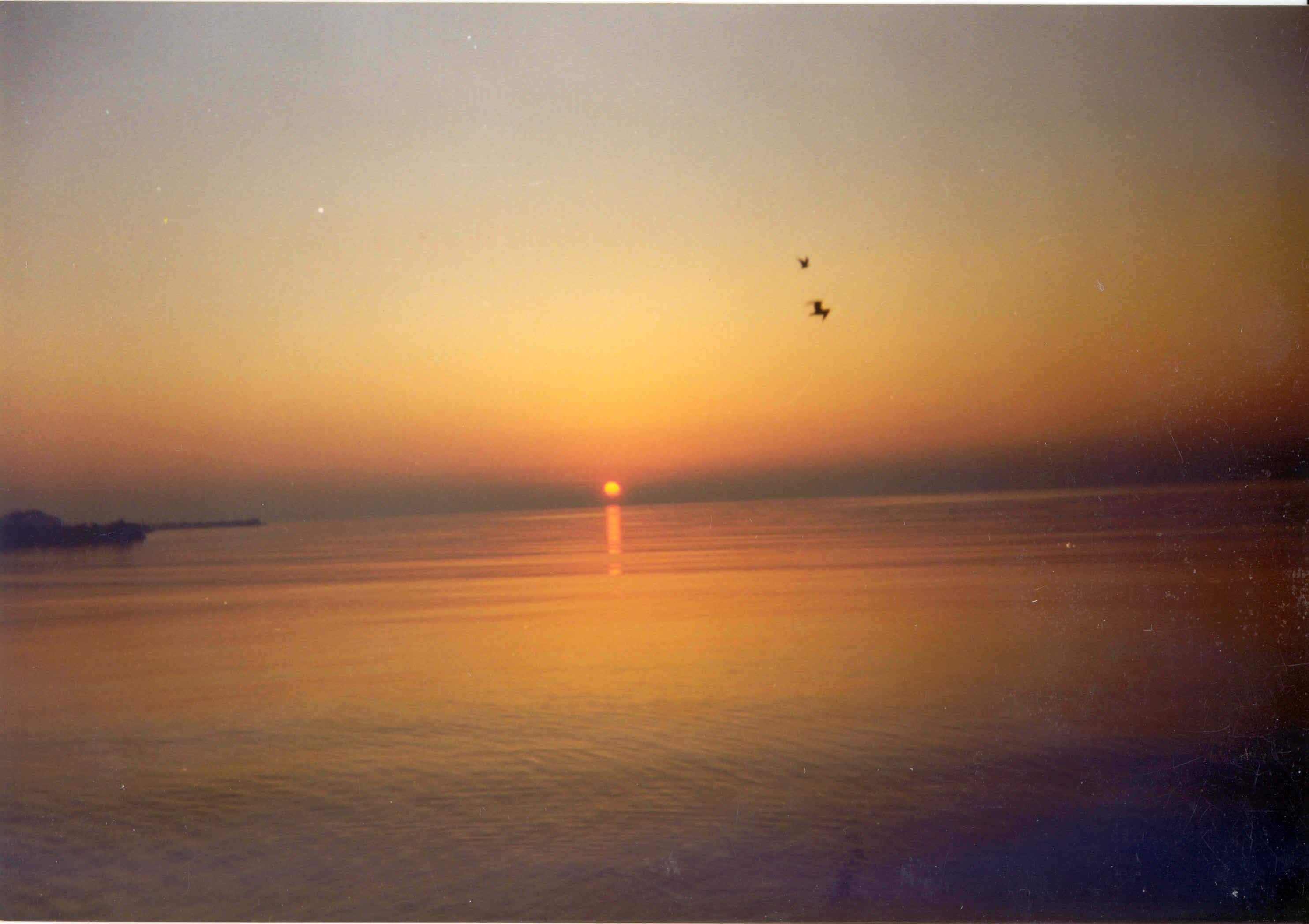 Romanian seaside in the morning - Venus 1996 July